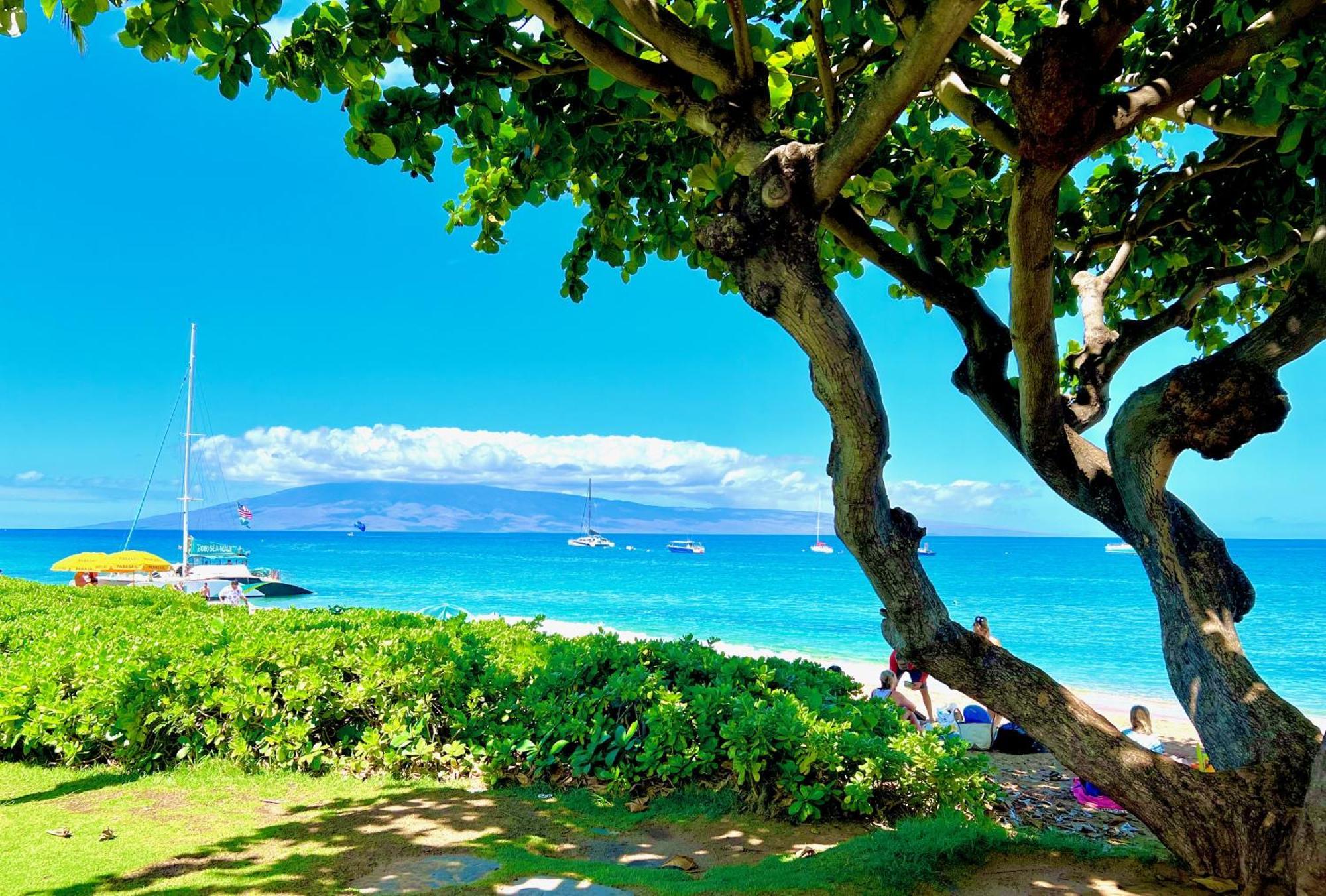 Kaanapali'S Royal Luxury Plantation Beach & Golf Estate エクステリア 写真